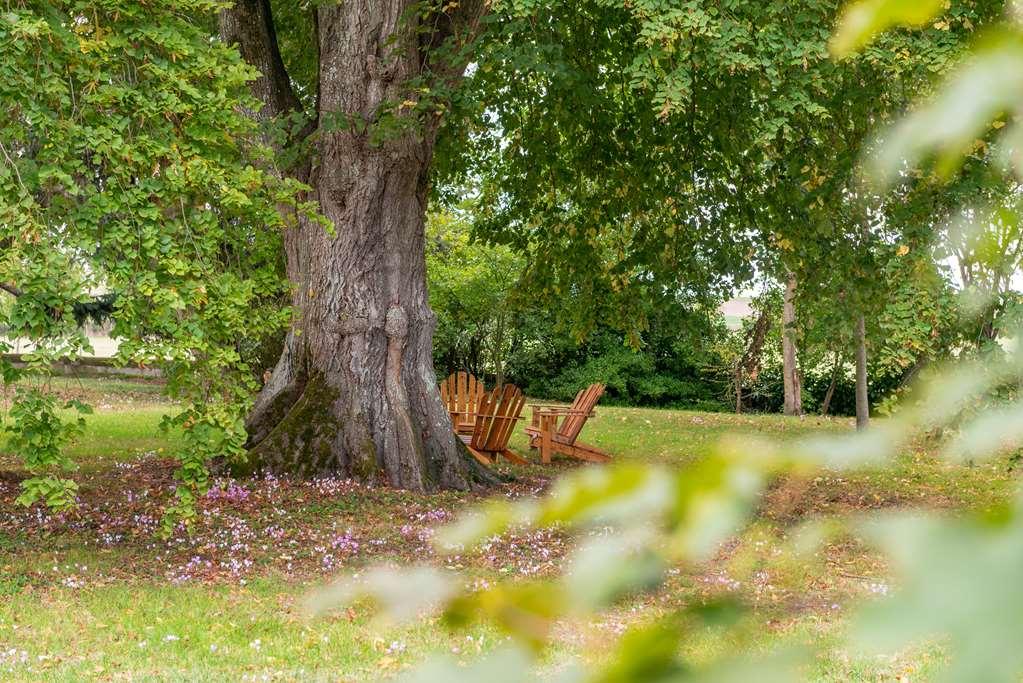 Le Domaine De Mestre, The Originals Relais فونتيرفارد لو أباي المظهر الخارجي الصورة